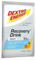 Dextro Energy Recovery napój regner. sasz. 44,5 g