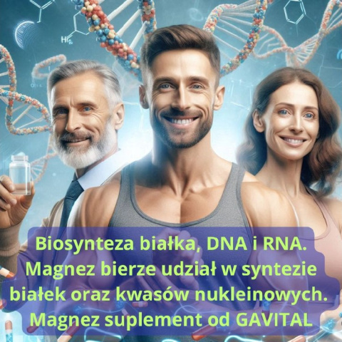 Biosynteza białka DNA i RNA puromedica gavital magnez nuion Biosynteza białka DNA i RNA puromedica gavital magnez nuion