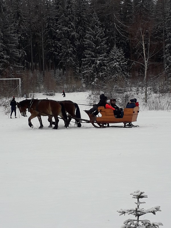 kulig-koni-oboz-zima-poznan-sport-dzieci